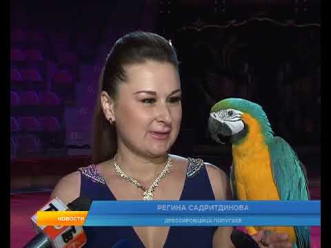 В Курск приехал старейший цирк Филатовых