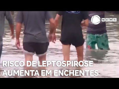 Chuvas e enchentes aumentam risco de contrair leptospirose