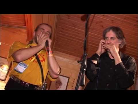 Harmonica jam Boris Plotnikov with Howard Levy and Tommy Emmanuel, джем на губных гармошках