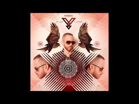 Yandel - Dejate Amar