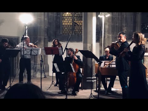 Telemann: Concert for recorder and traverso TWV 52:e1