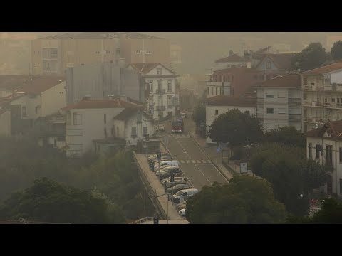 Brände im Norden Portugals gehen zurück: Albergaria unter Rauchglocke