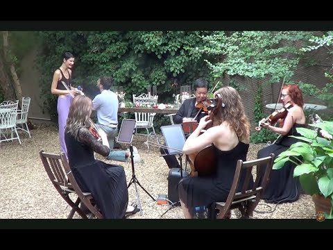 Promotional video thumbnail 14 for Xinou Wei Strings