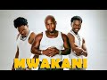 Harmonize Ft Mabantu Mwakani Official Music Video