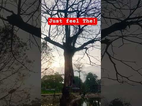 just feel The !#nature #diganta #short #villagelife