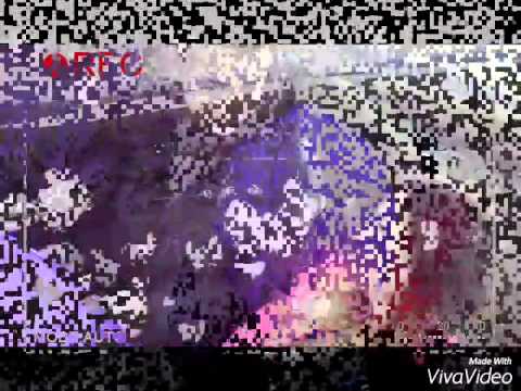 La multi ani Niusha!