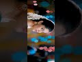 Neeye Vaazhkai Enben Whatsapp Status Song Pugazh Movie Song Whatsapp Status Music Box Status