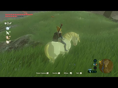 Zelda Botw: The Royal White Stallion Side Quest
