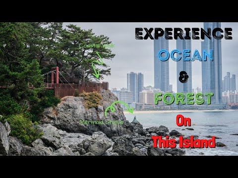 Vlog da Coreia: 3 coisas para fazer em Haeundae - caminhada pela costa, café no Vintage Art Cafe, churrasco coreano