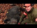 Wildschweinfieber VI Teil 1