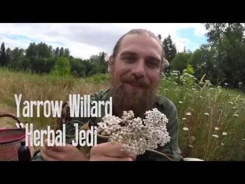 The Origins of Yarrow (part 1) | Harmonic Arts