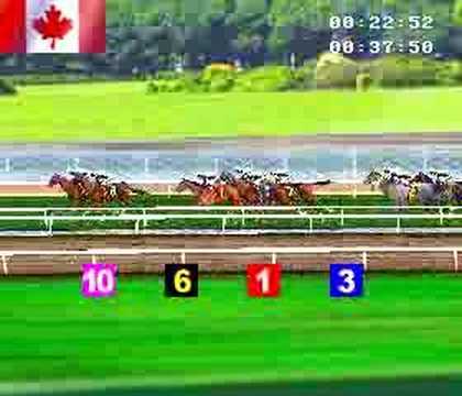 virtual horse race