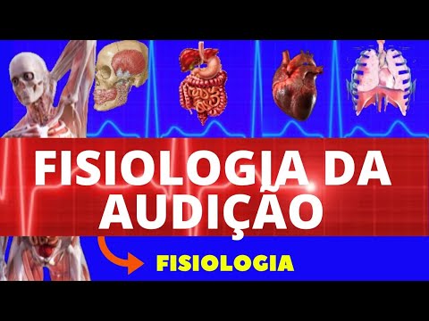FISIOLOGIA DA AUDIÇÃO - FISIOLOGIA DE GUYTON - ANATOMIA E FISIOLOGIA DA AUDIÇÃO - SISTEMA AUDITIVO