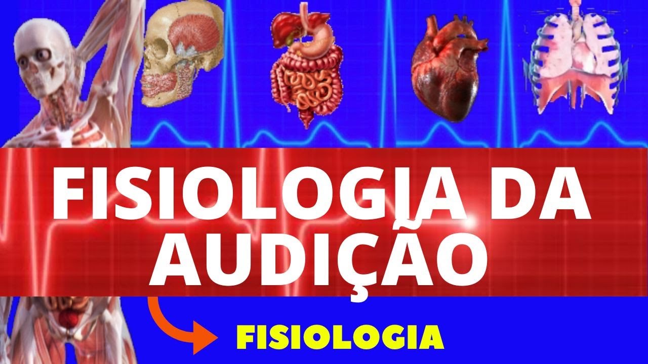 FISIOLOGIA DA AUDIÇÃO - FISIOLOGIA DE GUYTON - ANATOMIA E FISIOLOGIA DA AUDIÇÃO - SISTEMA AUDITIVO