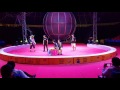 Natto Clown With 4 Chairs