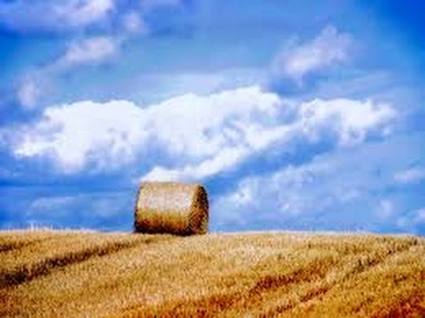 download lagu mp3 mp4 Giuseppe Patrizio Canto Del Cuore, download mp3 Giuseppe Patrizio Canto Del Cuore free downloadn, video klip Giuseppe Patrizio Canto Del Cuore