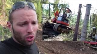 Terracing the slope, south of our gardens - Sepp Holzer Permaculture style