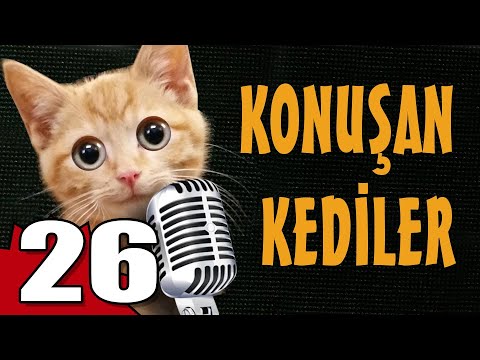 Konuşan Kediler 26 - En Komik Kedi Videoları