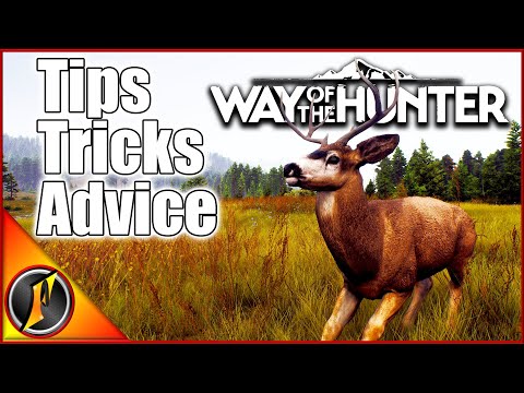 Getting Started in Way of the Hunter GUIDE! Tips, Tricks, & Advice!