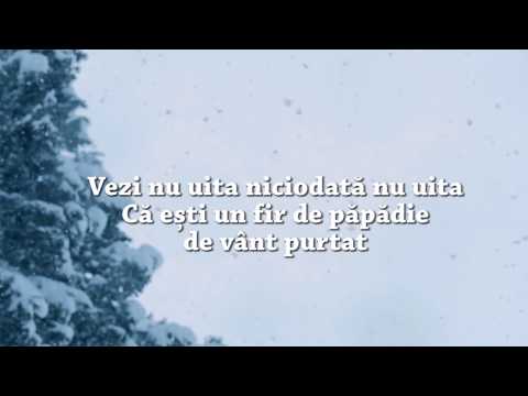 Vili Dulă - Vezi nu uita    (lyrics)