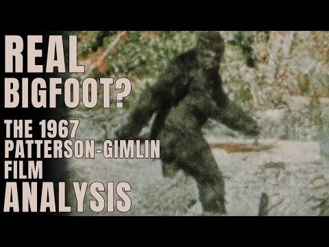 Patterson-Gimlin Bigfoot Film analysis. 4K stabilised colour.