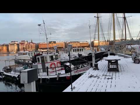 Stockholm Walks: snowy shores of  Skeppsholmen at dawn (boatwatching)
