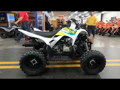 2023 Yamaha Raptor 90 in Grimes, Iowa - Video 1