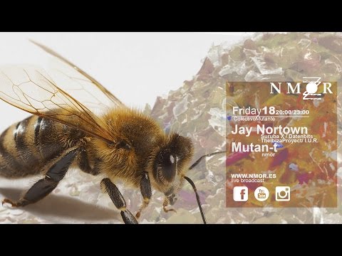 Jay Norton + Mutan-t@ Nmor