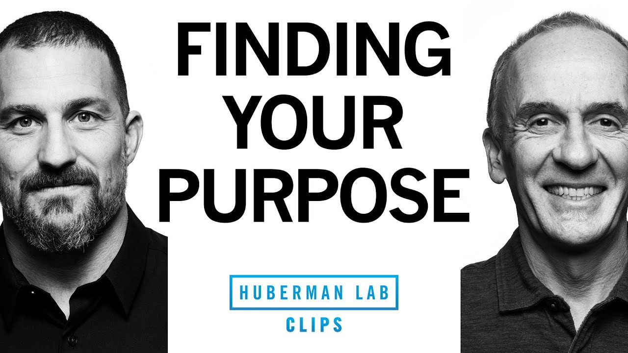 How to Find Your Purpose in Life