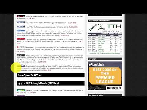 Cheltenham Festival 2019 - Day Four