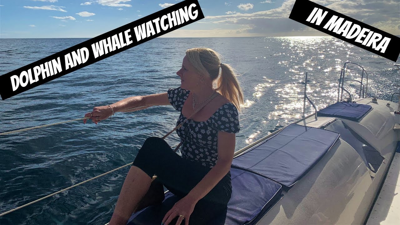 Join travelers on Whale & Dolphin Watching adventure.