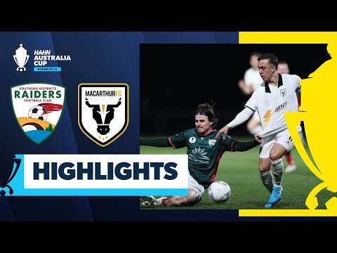 bg-highlight