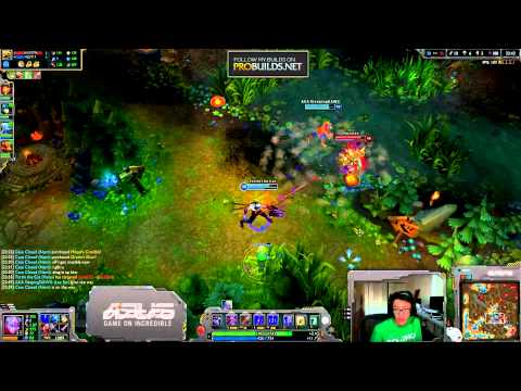 Wildturtle Stream Montage