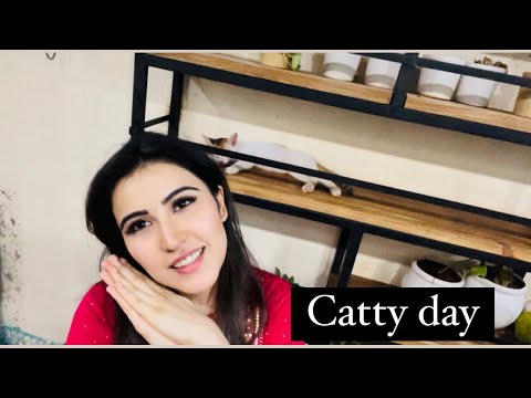 How many cats 🐱?#cattyday