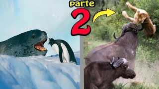 🔴 Quando os Animais Escolhem o Oponente Errado PARTE 2! Ninguém Aprendeu a Lição!