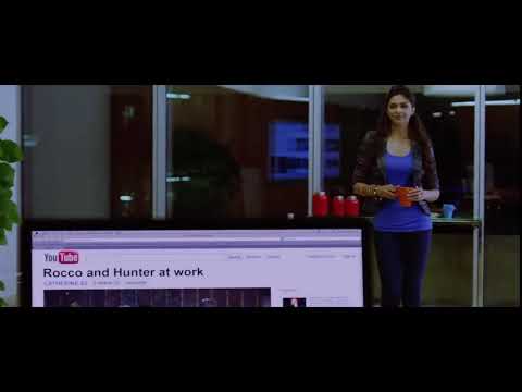 Rocco and hunter at work