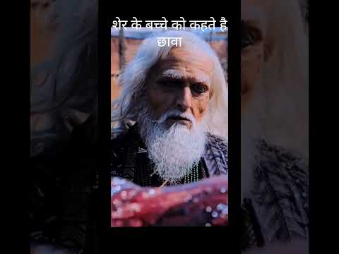 Saba movie is viral scene Sher ke bacche ko kahate Hain chawal ka ke dialogue viral movies #movie