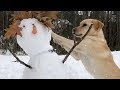 Cold Hearted Stella Destroys a Snowman