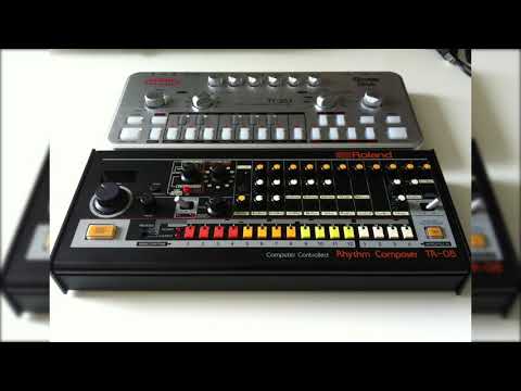 VeganBro01/039 Tr 08 + TT 303 Bassbot Acid Techno