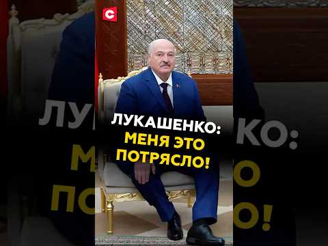 Лукашенко: не зря боролись с французским колониализмом! #лукашенко #беларусь #алжир #переговоры