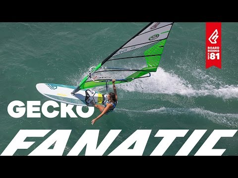 Fanatic Gecko 2017