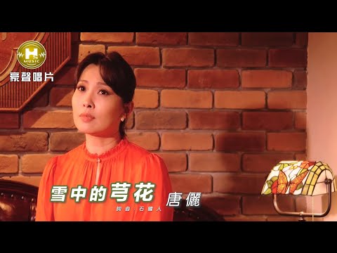 【MV首播】唐儷 - 雪中的芎花 (官方完整版MV) HD