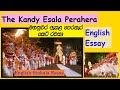 kandy esala perahera essay-sinhala-english |kandy esala perahera-මහනුවර ඇසළ පෙරහැර රච