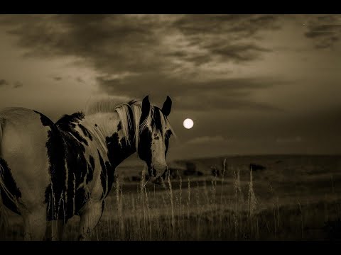 🏵John Baptiste & Ryan Riback Fever vs Kids These Days - Slice N Dic 🎧NonCopyRight🎶ElectroChillMusic‼