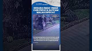 Gara-gara Buah Pepaya Dicuri Emak-emak, Satpam Lansia di Tempat Wisata Bogor Ini Malah Dipecat