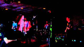 Palm Trees & Power Lines