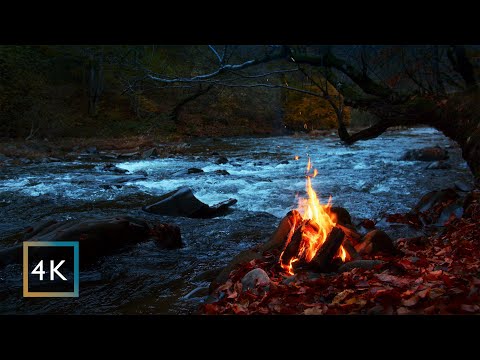 Midnight campfire by the river | Autumn forest ambience — relaxing nature sounds | 4K