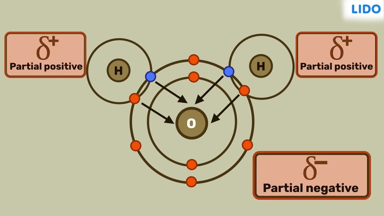 Polar and Non polar covalent compounds | Chemical Bonding | Class 10 Science ICSE