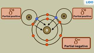 Polar and Non polar covalent compounds | Chemical Bonding | Class 10 Science ICSE