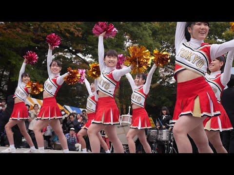 駒場祭2014② チャンスパターンメドレー 東京大学運動会応援団 チアリーディング部 KRANZ